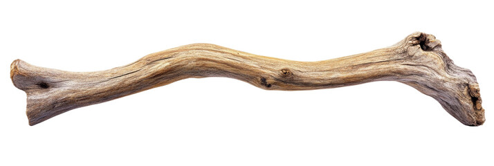 Obraz premium A beautifully textured driftwood branch displays its organic curves and unique features, perfect for use in various artistic and decorative applications. Transparent background PNG