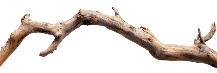 Fototapeta premium A detailed portrayal of a gnarled wooden twig, highlighting its unique textures, curves, and natural beauty ideal for artistic or design projects. Transparent background PNG