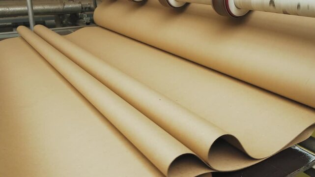 Factory for the production of biodegradable craft package from waste paper, used cardboard. Paper, cardboard moves along the conveyor. Close-up of working conveyor line for paper production. Pulp mill