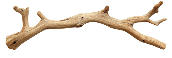 Obraz premium This rustic wooden branch features various offshoots, showcasing its natural texture and tones, perfect for craft projects or home decor accents. Transparent background PNG