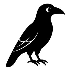 Fototapeta premium A sleek, popular icon of a raven for mystery book covers.