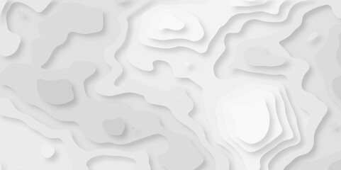abstract Background with lines Modern white carve wave line abstract luxury 3d papercut background, Black and white wave papercut topology. 