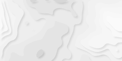 abstract Background with lines Modern white carve wave line abstract luxury 3d papercut background, Black and white wave papercut topology. 