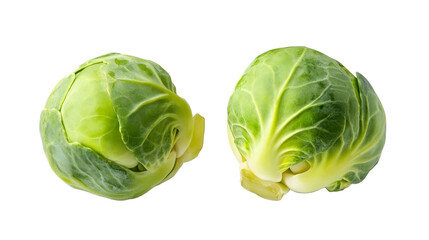 cabbage isolated on white background