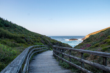 Obraz premium Wooden bridge or walkway that leads to the sea after a green forest. Freedom concept. Travel concept.
