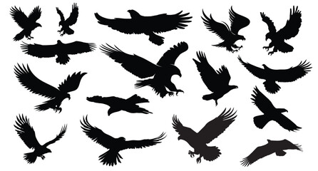 Eagle Vector Collection illustration art black and white 