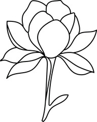 a drawing of a lotus flower with leaves and leaves  Vector