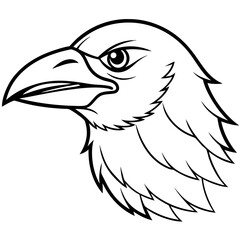 Obraz premium eagle head vector illustration isolated on white background. PNG Transparent file type with high definition quality And vibrant color grading Available.