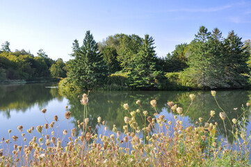 View of Millbrook pond in a beautiful day