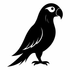 Fototapeta premium vector illustration of a bird