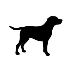 Dog Breed Silhouettes, Personalized Dog Silhouette, Dog Breed SVG,