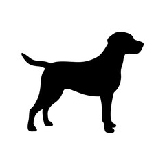 Dog Breed Silhouettes, Personalized Dog Silhouette, Dog Breed SVG,