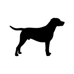 Dog Breed Silhouettes, Personalized Dog Silhouette, Dog Breed SVG,