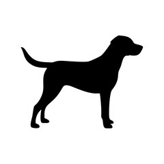 Dog Breed Silhouettes, Personalized Dog Silhouette, Dog Breed SVG,