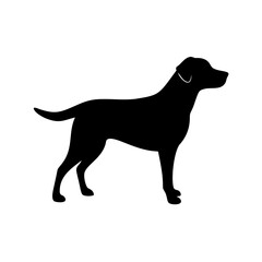Dog Breed Silhouettes, Personalized Dog Silhouette, Dog Breed SVG,