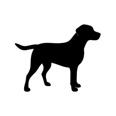 Dog Breed Silhouettes, Personalized Dog Silhouette, Dog Breed SVG,