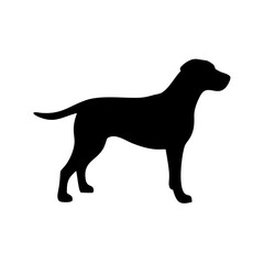 Dog Breed Silhouettes, Personalized Dog Silhouette, Dog Breed SVG,