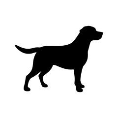 Dog Breed Silhouettes, Personalized Dog Silhouette, Dog Breed SVG,