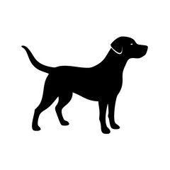 Dog Breed Silhouettes, Personalized Dog Silhouette, Dog Breed SVG,