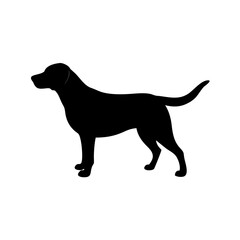 Dog Breed Silhouettes, Personalized Dog Silhouette, Dog Breed SVG,
