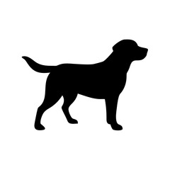 Dog Breed Silhouettes, Personalized Dog Silhouette, Dog Breed SVG,