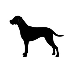 Dog Breed Silhouettes, Personalized Dog Silhouette, Dog Breed SVG,