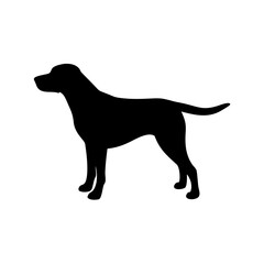 Dog Breed Silhouettes, Personalized Dog Silhouette, Dog Breed SVG,