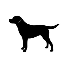 Dog Breed Silhouettes, Personalized Dog Silhouette, Dog Breed SVG,