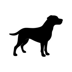 Dog Breed Silhouettes, Personalized Dog Silhouette, Dog Breed SVG,