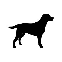 Dog Breed Silhouettes, Personalized Dog Silhouette, Dog Breed SVG,
