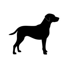 Dog Breed Silhouettes, Personalized Dog Silhouette, Dog Breed SVG,