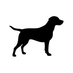 Dog Breed Silhouettes, Personalized Dog Silhouette, Dog Breed SVG,
