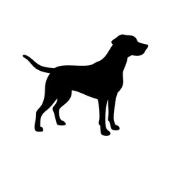Dog Breed Silhouettes, Personalized Dog Silhouette, Dog Breed SVG,