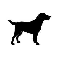 Dog Breed Silhouettes, Personalized Dog Silhouette, Dog Breed SVG,