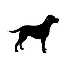 Dog Breed Silhouettes, Personalized Dog Silhouette, Dog Breed SVG,