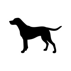 Dog Breed Silhouettes, Personalized Dog Silhouette, Dog Breed SVG,