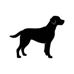 Dog Breed Silhouettes, Personalized Dog Silhouette, Dog Breed SVG,