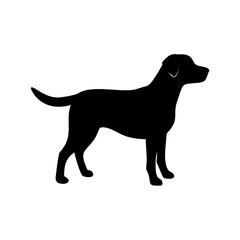 Dog Breed Silhouettes, Personalized Dog Silhouette, Dog Breed SVG,