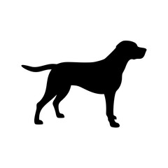 Dog Breed Silhouettes, Personalized Dog Silhouette, Dog Breed SVG,