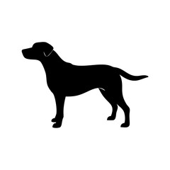 Dog Breed Silhouettes, Personalized Dog Silhouette, Dog Breed SVG,