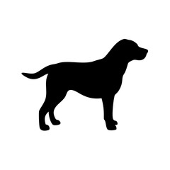 Dog Breed Silhouettes, Personalized Dog Silhouette, Dog Breed SVG,
