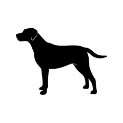 Dog Breed Silhouettes, Personalized Dog Silhouette, Dog Breed SVG,