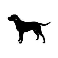 Dog Breed Silhouettes, Personalized Dog Silhouette, Dog Breed SVG,