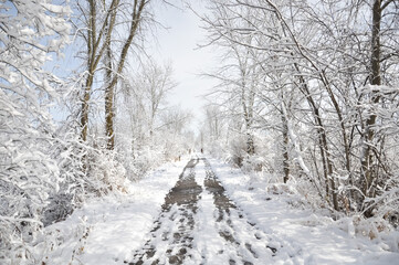 Snow covered road in winter