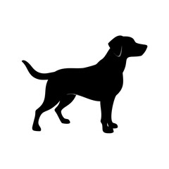Dog Breed Silhouettes, Personalized Dog Silhouette, Dog Breed SVG,