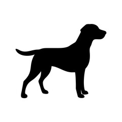 Dog Breed Silhouettes, Personalized Dog Silhouette, Dog Breed SVG,