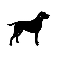 Dog Breed Silhouettes, Personalized Dog Silhouette, Dog Breed SVG,