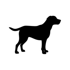 Dog Breed Silhouettes, Personalized Dog Silhouette, Dog Breed SVG,