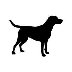 Dog Breed Silhouettes, Personalized Dog Silhouette, Dog Breed SVG,