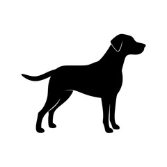 Dog Breed Silhouettes, Personalized Dog Silhouette, Dog Breed SVG,